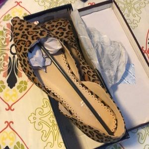 BNIB Refresh Leopard Flats Sz 10